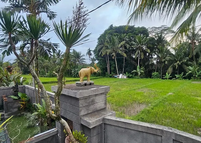 Mangku In Ricefield Villa Ubud
